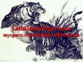 lima lama