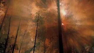 Watch Kim Ray Home video
