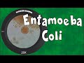 Entamoeba coli - como reconhecer e diferenciar de Entamoeba histolytica