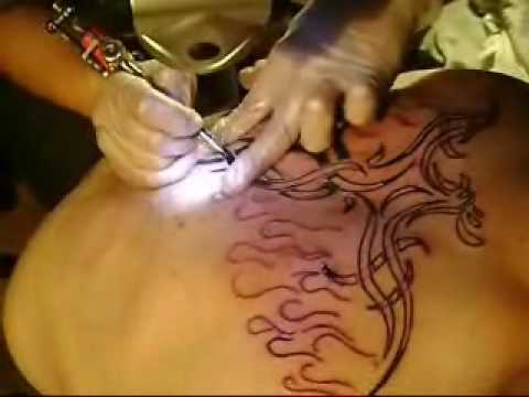 Tattoo fenix tribal 1 secion