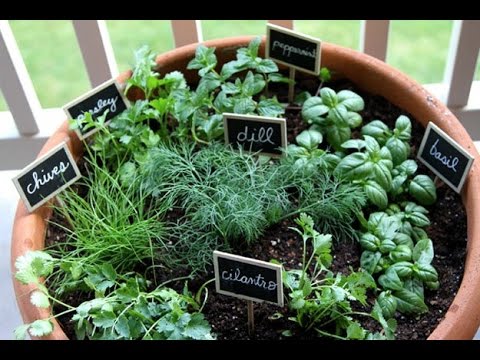 styles of flowers hawaii landscape designing