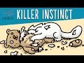 Simon's Cat Logic - Why Do Cats Like Hunting?