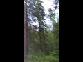 Bird Song Video preview