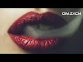 Dim Zach feat Perin - Red Traces (Original mix)