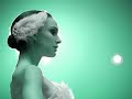 Cisne negro - youtube