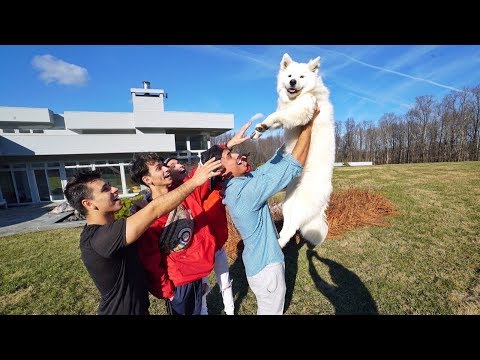WE REUNITED WITH OUR PUPPY AFTER A YEAR! (emotional)
