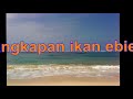 Perjalan Di Alas Purwo Banyuwangi images Perjalan Di Alas Purwo Banyuwangi