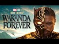 Black Panther 2: Wakanda Forever | Full Fan Movie (English)
