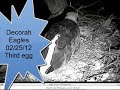 Decorah Eagles 02-24-12 Third egg by Blossem Holland