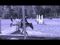 ✧ WIHS Local Weekend ✧ Zone 3 Finals ✧