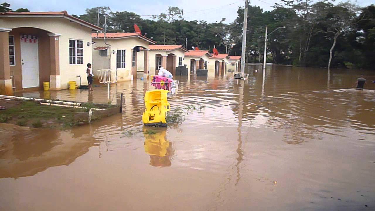 Flamingos residencial