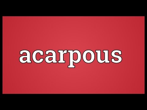 Header of acarpous