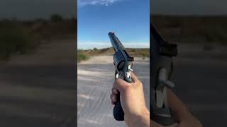 75 Yard Shot With 500 Magnum 50Cal.