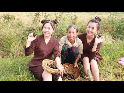 Ra Đồng Bắt Ốc Làm Món Ốc Nướng Tiêu Xanh ● Nắng Đẹp Miền Tây | NĐMT# 25