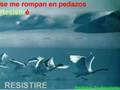Karaoke Resistire Karaoke Resistire