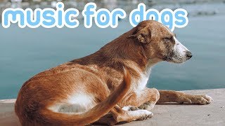 15 HOURS of Relaxing Music for Dogs with Sleep Problems! NEW 2019!