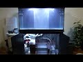 Trigger Systems Custom Sump Refugium Review
