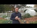 planting