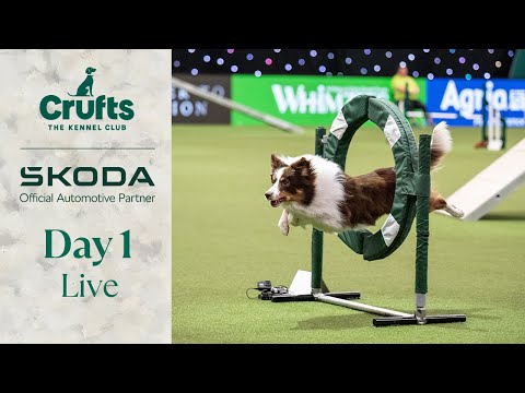 Day 1 LIVE | Crufts 2024