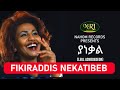 Fikiraddis Nekatibeb - Yanekal - ፍቅርአዲስ ነቃጥበብ - ያነቃል - Ethiopian Music