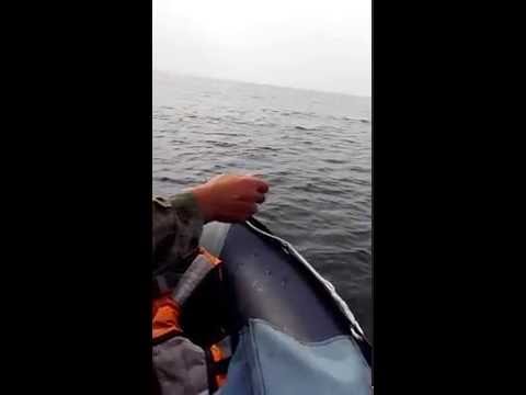 калкан ловля видео калкан ловля видео
