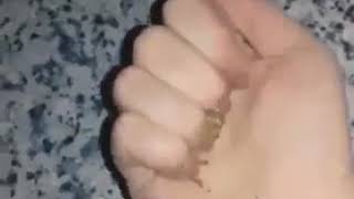 Zerli R Herfi Yaziliwi--Watsap Ucun Status