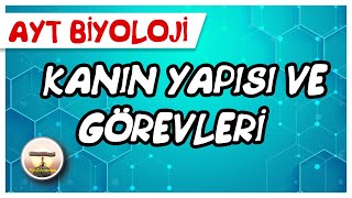 AYT Biyoloji | Kanın Yapısı ve Görevleri #sayfa84