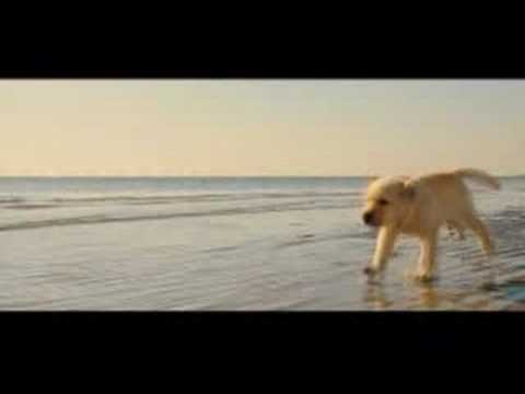 marley and me puppy years. Marley and Me, movie (video)