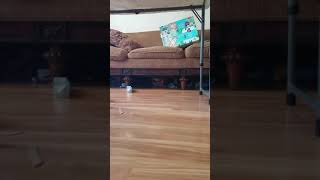 14 Feet Face Down Drop Test