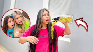 Um Bicho Estranho Caiu Dentro Do Suco Da Larissa