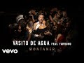 Ricardo Montaner - Vasito de Agua (Audio) ft. Farruko