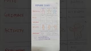 Apgar Score Pedia For Bscnsg ,Gnm,Anm