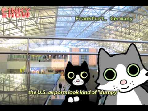 Encounter on Radical Education: Cats in Slovenia!