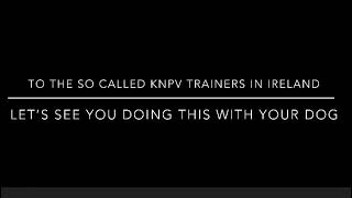 Knpv There Is Only One Kennels In Ireland
