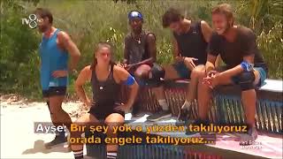 Poyrazayşe