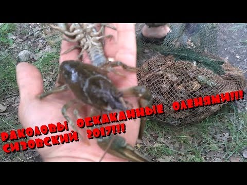 где ловить раков в крыму 2016 где ловить раков в крыму 2016