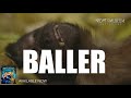 Monkey Rap Monkey Rap