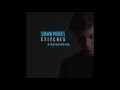 Shawn Mendes - Stitches (Audio)