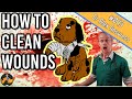 How to Clean a Wound on a Dog or Cat at Home (the right way!) - Dog Health Vet Advice