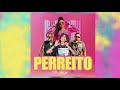 view Perreito - Remix