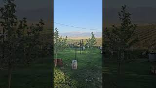 Önümüz Yaz Antalya Elmalı Likya Şavi