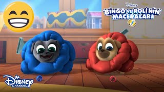 Göster ve Anlat Oyunu🖐☺ | Bingo ve Roli'nin Maceraları | Disney Channel Türkiye