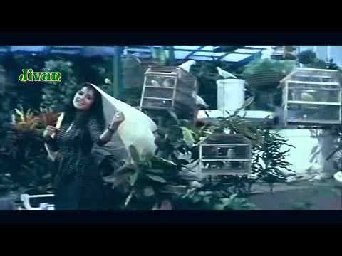 Aashiqui Mein Har Aashiq - Dil Ka Kya Kasoor (1992) Special...