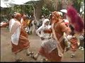 DANZA DE PLUMA DEL EJIDO LA PAZ, 16 DE JULIO DEL 2011 (5)