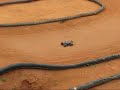 Traxxas 1/16 E-Revo VXL on an off-road track