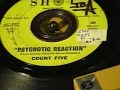 Count Five - Psychotic Reaction - 1965