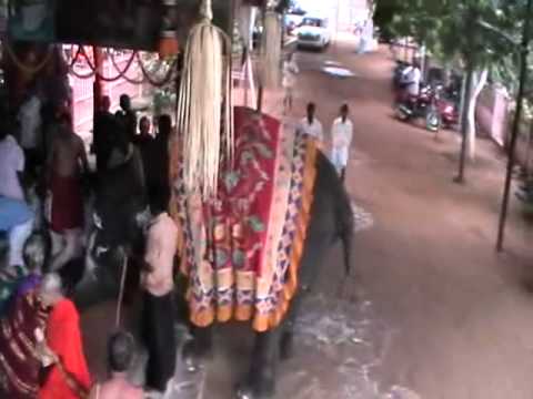 Govindapuram 2010 Panduranga vittal Gokulashtami Uriadi Utsav...