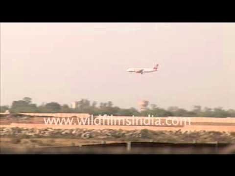 Delhi Palam Airport