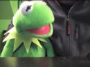 Kermit The Frog Prank Call