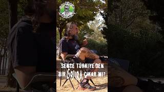 Sizce Türkiyeden Bir Gojira Çıkar Mı?